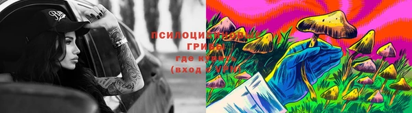 2c-b Краснослободск