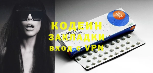 2c-b Краснослободск