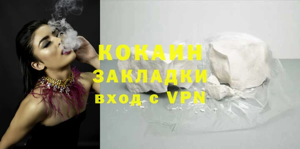 2c-b Краснослободск