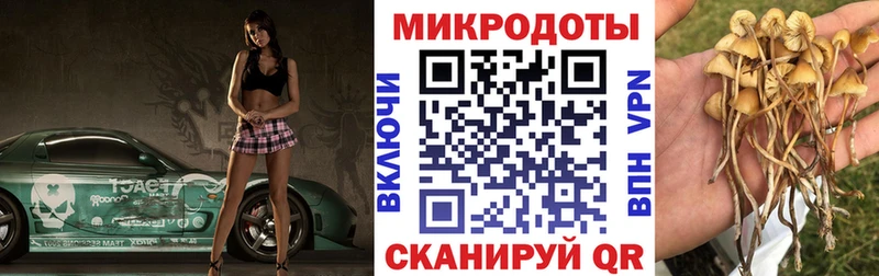 Галлюциногенные грибы ЛСД  Котельнич 